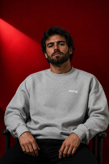 Research Sweatshirt - Gris