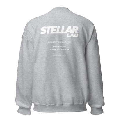 Research Sweatshirt - Gris