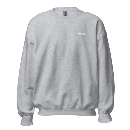 Research Sweatshirt - Gris